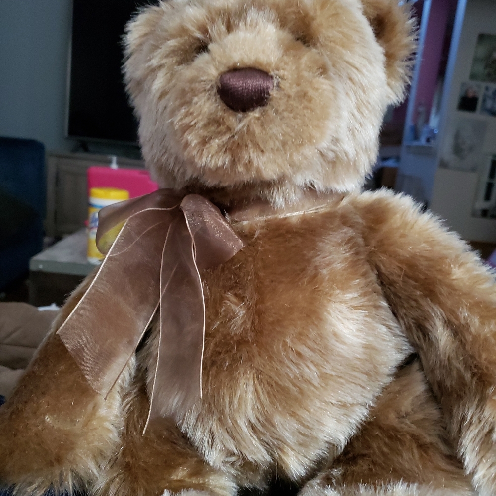 Gund bear Sidwell